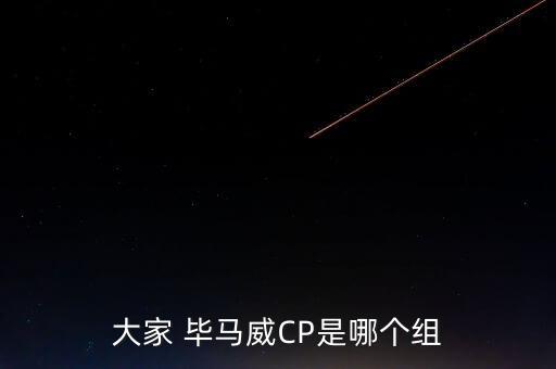 大家 畢馬威CP是哪個(gè)組