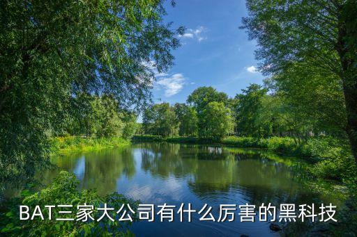 bat機器人的特色