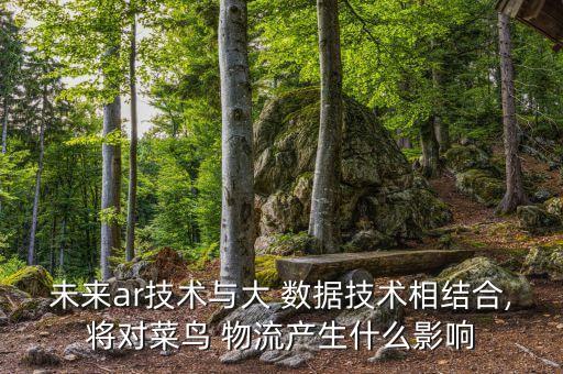 未來(lái)ar技術(shù)與大 數(shù)據(jù)技術(shù)相結(jié)合,將對(duì)菜鳥 物流產(chǎn)生什么影響