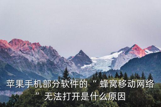 ios9.0.1蜂窩數(shù)據(jù)開關(guān),怎么把蜂窩數(shù)據(jù)開關(guān)移到控制中心