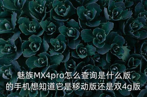  魅族MX4pro怎么查詢是什么版的手機(jī)想知道它是移動版還是雙4g版