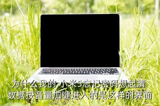 為什么我的 小米5忘記密碼想起清 數(shù)據(jù)按音量加鍵進(jìn)入的是這樣的界面