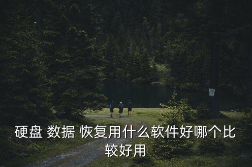 著名數(shù)據(jù)恢復(fù),真正免費的數(shù)據(jù)恢復(fù)app
