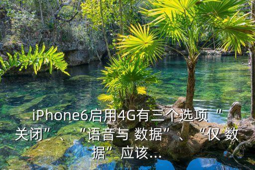 iPhone6啟用4G有三個(gè)選項(xiàng)“關(guān)閉”、“語(yǔ)音與 數(shù)據(jù)”、“僅 數(shù)據(jù)”應(yīng)該...