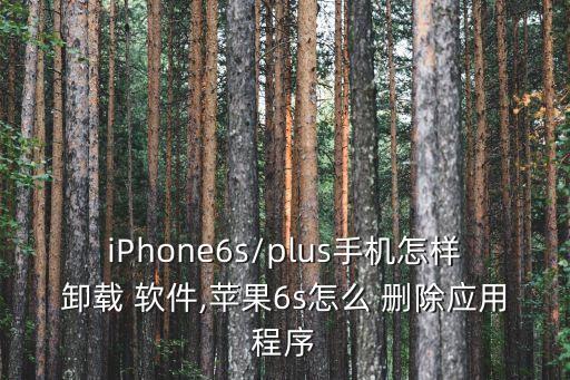iPhone6s/plus手機(jī)怎樣卸載 軟件,蘋(píng)果6s怎么 刪除應(yīng)用程序