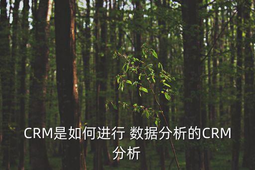CRM是如何進(jìn)行 數(shù)據(jù)分析的CRM分析
