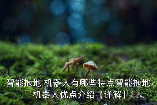 智能拖地 機(jī)器人有哪些特點(diǎn)智能拖地 機(jī)器人優(yōu)點(diǎn)介紹【詳解】