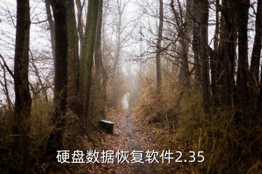 安易硬盤(pán)數(shù)據(jù)恢復(fù)軟件2.35