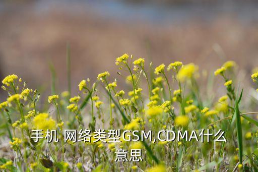 cdma 數(shù)據(jù)網(wǎng)絡(luò),電信cdma是什么網(wǎng)絡(luò)