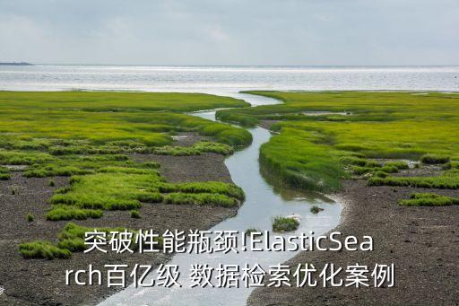 突破性能瓶頸!ElasticSearch百億級 數(shù)據(jù)檢索優(yōu)化案例