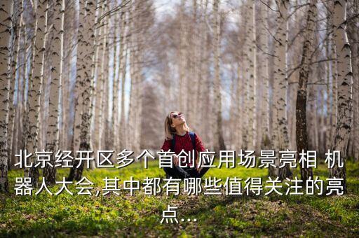 北京經(jīng)開區(qū)多個首創(chuàng)應(yīng)用場景亮相 機器人大會,其中都有哪些值得關(guān)注的亮點...