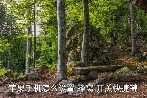 蘋果手機(jī)怎么設(shè)置 蜂窩 開關(guān)快捷鍵