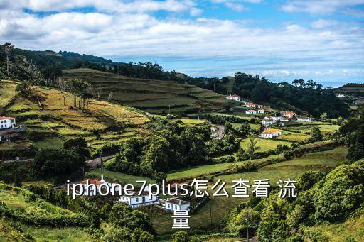 iphone7plus怎么查看 流量