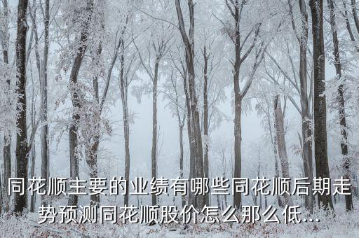 同花順主要的業(yè)績有哪些同花順后期走勢預測同花順股價怎么那么低...