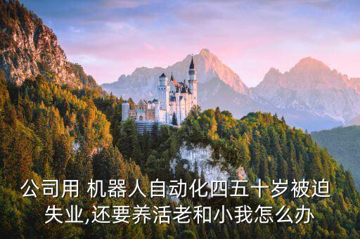 機(jī)器人使人失業(yè)怎么辦,群星機(jī)器人失業(yè)怎么辦