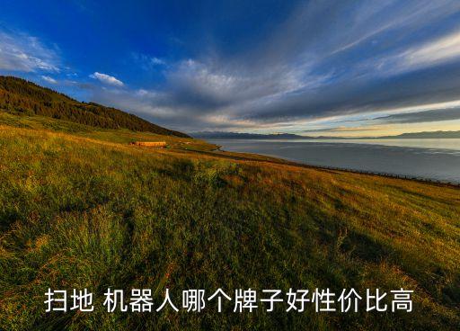 掃地 機(jī)器人哪個牌子好性價比高