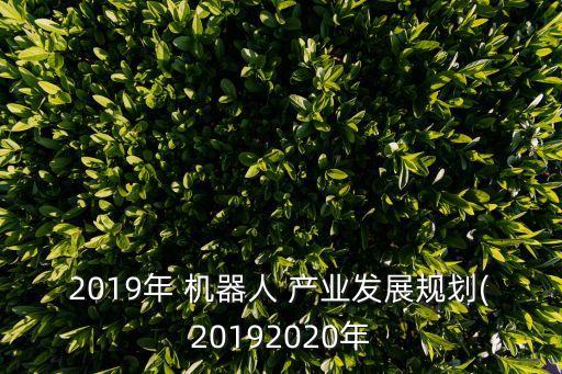 2019年 機器人 產(chǎn)業(yè)發(fā)展規(guī)劃(20192020年