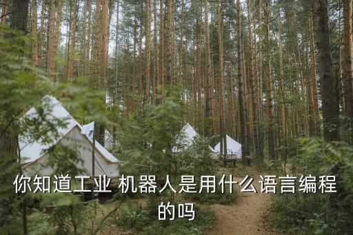 c 機(jī)器人入門,機(jī)器人入門書籍有哪些