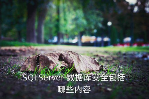 SQLServer 數(shù)據(jù)庫安全包括哪些內(nèi)容