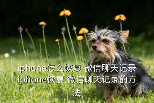 iphone怎么恢復(fù) 微信聊天記錄iphone恢復(fù) 微信聊天記錄的方法