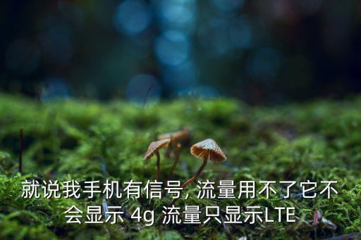 就說(shuō)我手機(jī)有信號(hào), 流量用不了它不會(huì)顯示 4g 流量只顯示LTE
