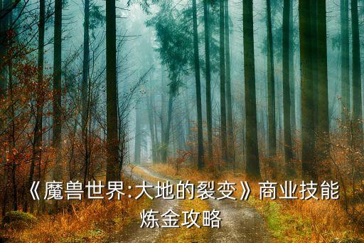 數(shù)據(jù)煉金