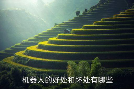 機器人與人的優(yōu)缺點,婦科機器人手術 優(yōu)缺點