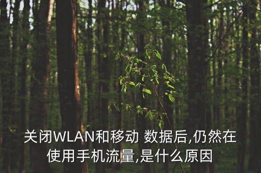 關(guān)閉WLAN和移動(dòng) 數(shù)據(jù)后,仍然在使用手機(jī)流量,是什么原因