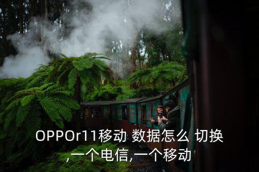 OPPOr11移動(dòng) 數(shù)據(jù)怎么 切換,一個(gè)電信,一個(gè)移動(dòng)