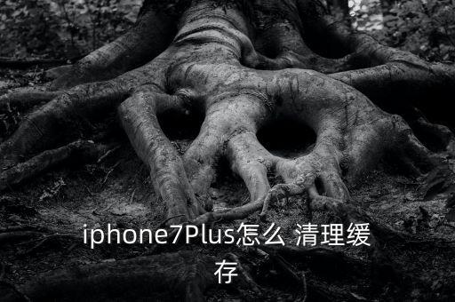 蘋果7怎么清理應用數(shù)據(jù),蘋果ipad怎么清理應用數(shù)據(jù)