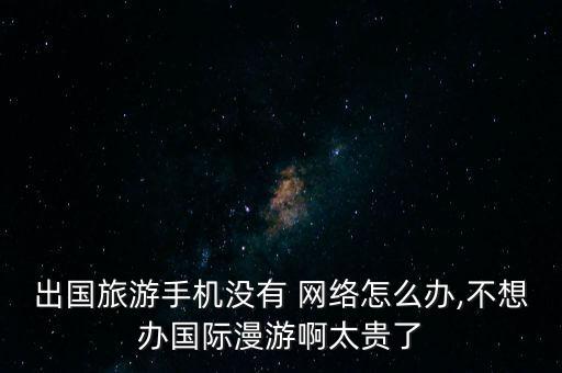 出國旅游手機(jī)沒有 網(wǎng)絡(luò)怎么辦,不想辦國際漫游啊太貴了