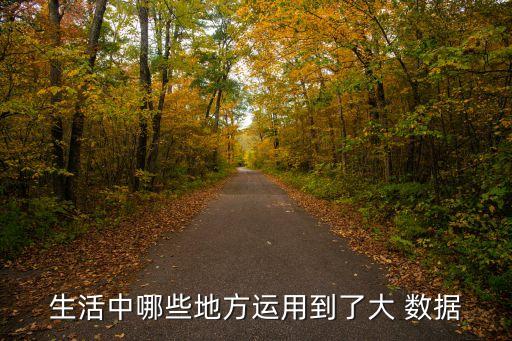 生活中哪些地方運(yùn)用到了大 數(shù)據(jù)