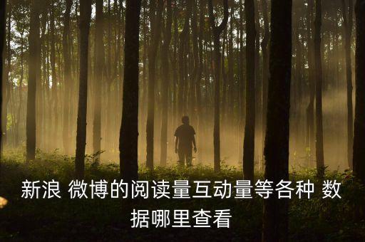 新浪 微博的閱讀量互動量等各種 數(shù)據(jù)哪里查看