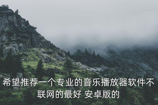 希望推薦一個專業(yè)的音樂播放器軟件不聯(lián)網(wǎng)的最好 安卓版的