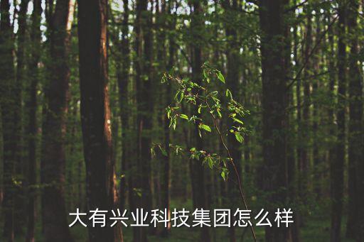 大有興業(yè)科技集團怎么樣