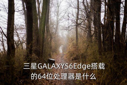  三星GALAXYS6Edge搭載的64位處理器是什么