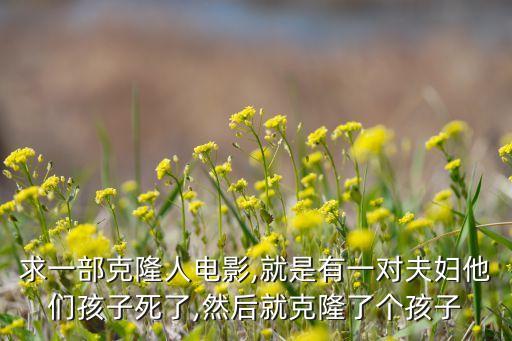 機(jī)器人與人類(lèi)生的小孩,有個(gè)機(jī)器人小孩想變成人類(lèi)的電影
