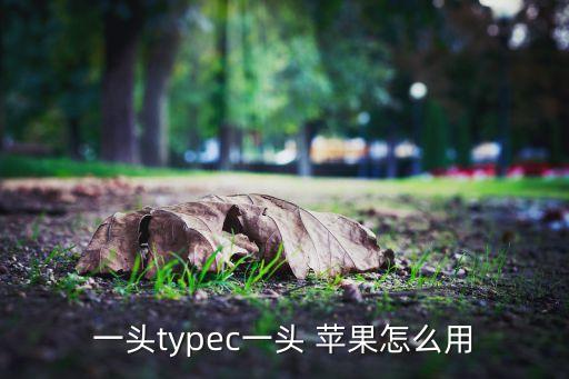 一頭typec一頭 蘋果怎么用
