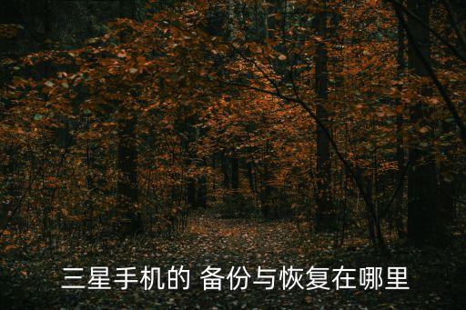  三星手機(jī)的 備份與恢復(fù)在哪里