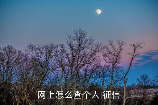 網(wǎng)上怎么查個人 征信