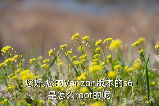 您好,您的Verizon版本的s6是怎么root的呢