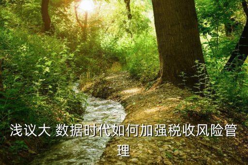 稅務(wù)大數(shù)據(jù) 業(yè)務(wù)領(lǐng)域