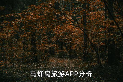 馬蜂窩旅游APP分析