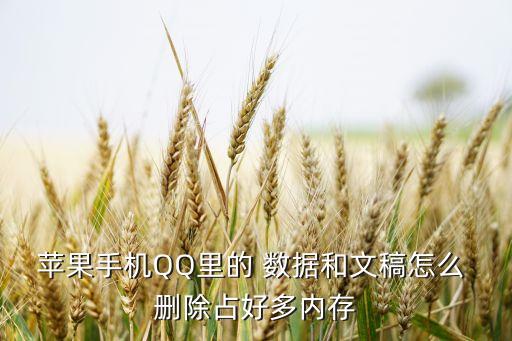 蘋果手機QQ里的 數據和文稿怎么 刪除占好多內存