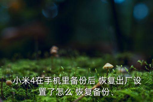  小米4在手機(jī)里備份后 恢復(fù)出廠設(shè)置了怎么 恢復(fù)備份、