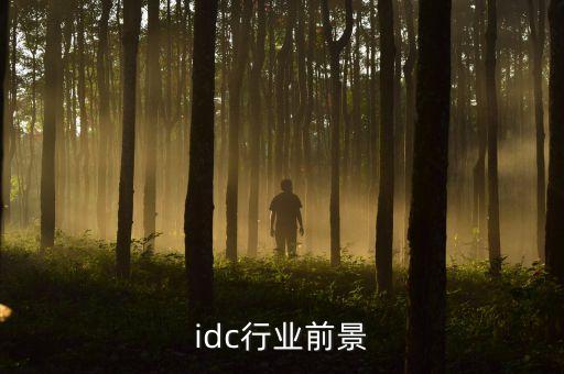 idc行業(yè)前景