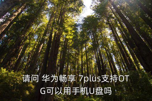 華為7plus數(shù)據(jù)線,蘋果7plus的數(shù)據(jù)線可以給13充電嗎