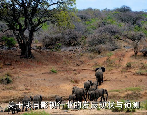 歌華有線大樣本收視數(shù)據(jù)研究中心
