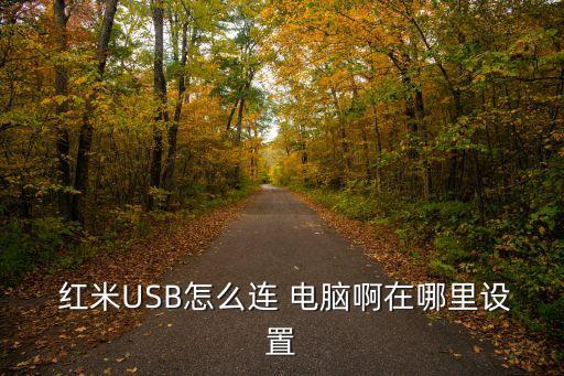  紅米USB怎么連 電腦啊在哪里設置