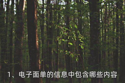 1、電子面單的信息中包含哪些內(nèi)容